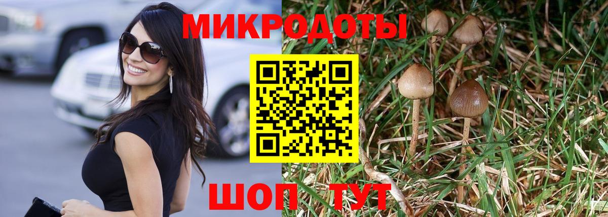 Новый Уренгой  Псилоцибиновые грибы мицелий  Вход с VPN  Галлюциногенные грибы Psilocybe 